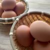 タルムードから学ぶお金の話19　「鶏の卵の運び方」はリスク分散の方法を学ぶことができるユダヤ人の教育方法